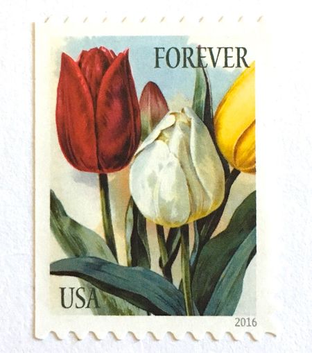 100 Forever Tulip Stamps Unused Vintage Print Tulips Postage Spring Flower Garden Stamps for Mailing